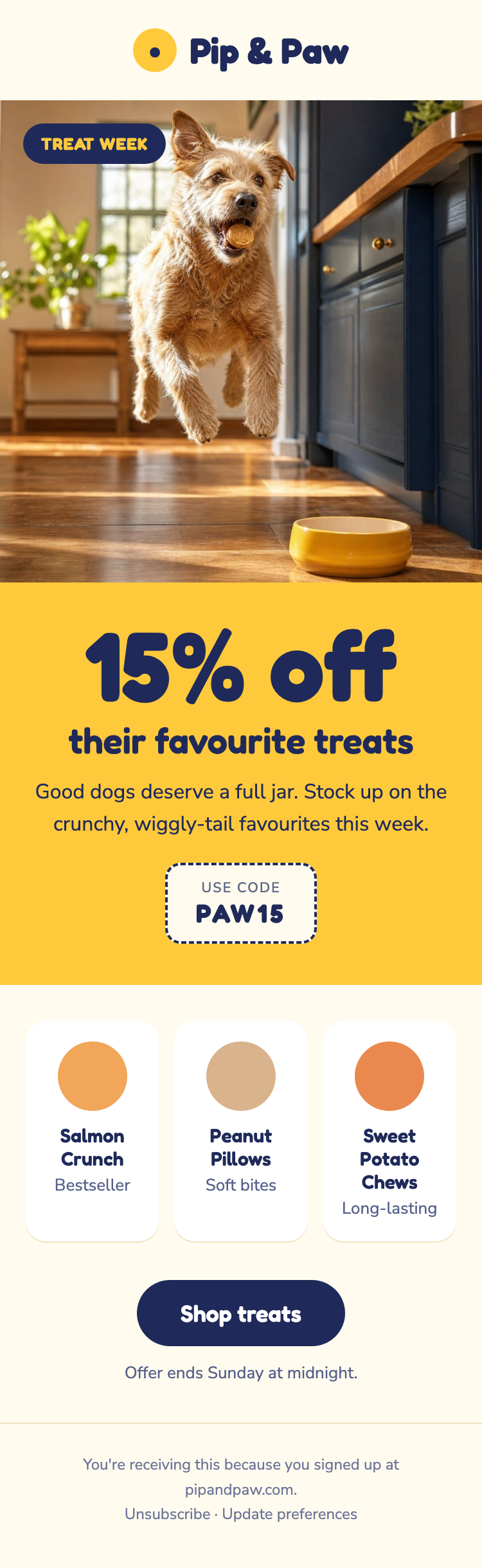 Example email from Pip & Paw, a made-up pet treat store