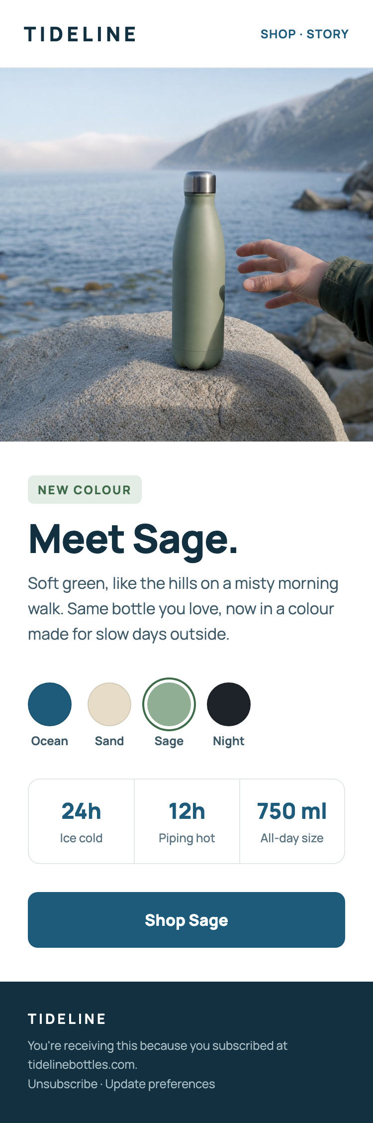 Example email from Tideline, a made-up water bottle store